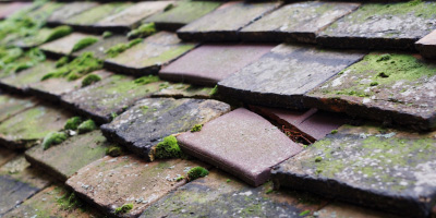 Weedon roof repair costs